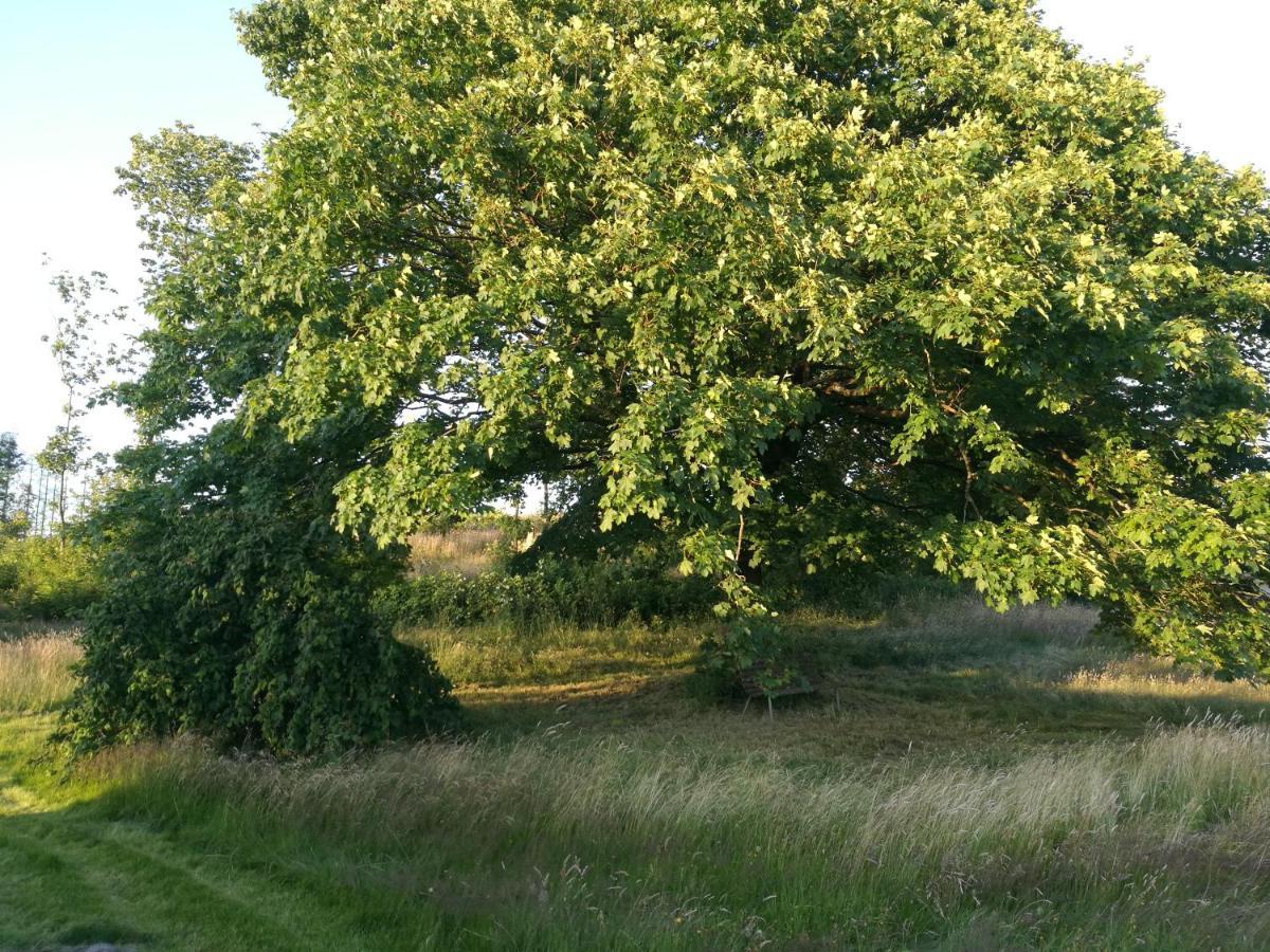 Haervejsly - Perfekt Familiebase Til Oplevelse Af Sydjylland Villa Give Ngoại thất bức ảnh